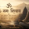 Om Namah Shivaya mantra ka jap aur dhyan karte hue bhakt, Shivling aur Mahadev upasana