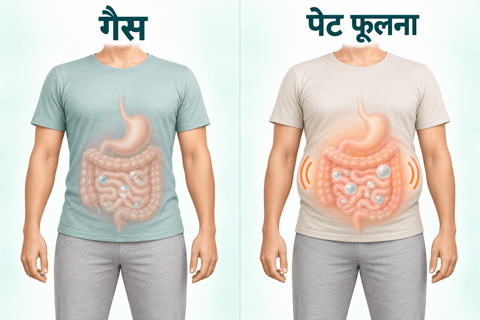गैस और पेट फूलने के बीच अंतर दिखाता पाचन तंत्र